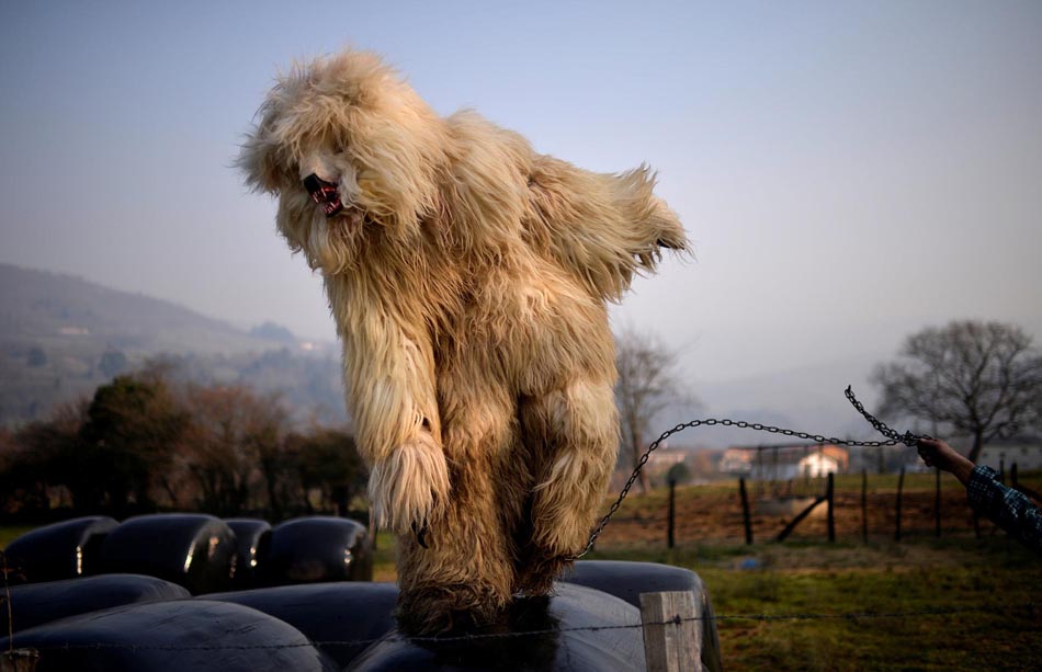 西班牙小镇传统游行庆新年 揭开欧洲冬季狂欢