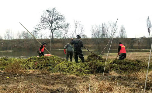 【已通过】【1200专题-滚动】平顶山市宝丰县:用“河长巡河通” 开启“掌上巡河”新模式