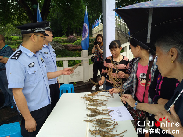 图片默认标题_fororder_民警向市民介绍麻黄草相关情况--摄影张勇