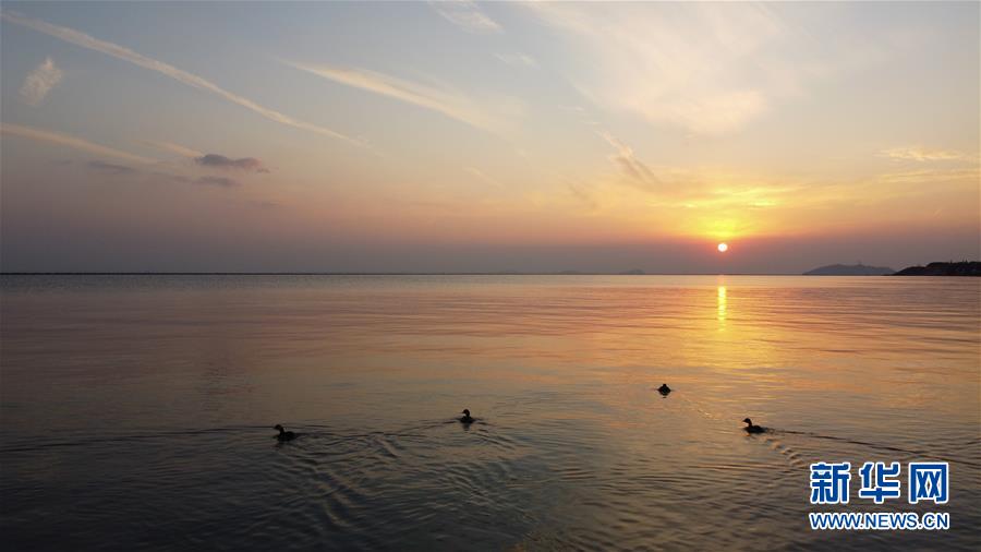 新华网@大湖见证——长三角三大淡水湖绿色发展之路