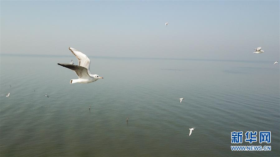 新华网@大湖见证——长三角三大淡水湖绿色发展之路