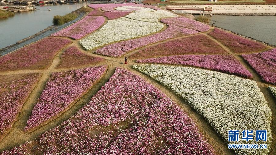 新华网@大湖见证——长三角三大淡水湖绿色发展之路