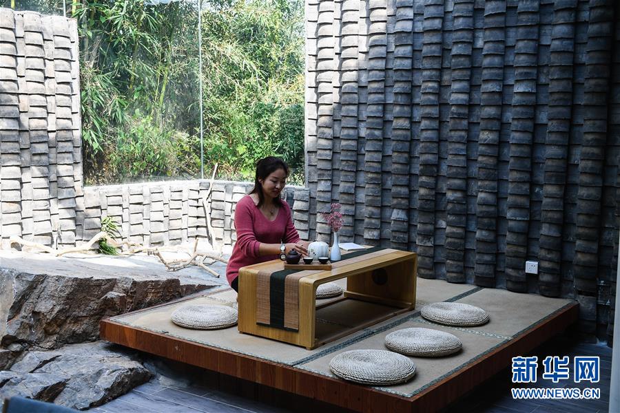 新华网@大湖见证——长三角三大淡水湖绿色发展之路