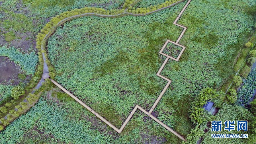 新华网@大湖见证——长三角三大淡水湖绿色发展之路