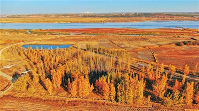 【宁夏新闻网】【生态文明@湿地】宁夏银川阅海湿地公园造就“塞