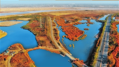 【宁夏新闻网】【生态文明@湿地】宁夏银川阅海湿地公园造就“塞