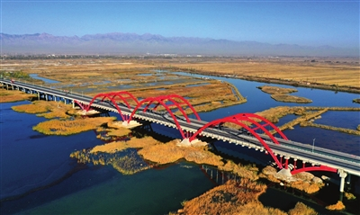 【宁夏新闻网】【生态文明@湿地】宁夏银川阅海湿地公园造就“塞