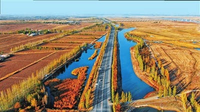 【宁夏新闻网】【生态文明@湿地】宁夏银川阅海湿地公园造就“塞