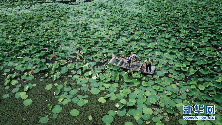 大湖见证——长三角三大淡水湖绿色发展之路