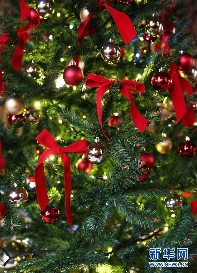 「新华网」法国：古堡盛装迎新