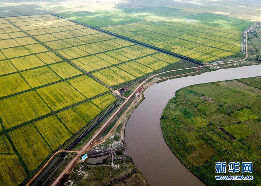 「新华网」中国农业技术帮助莫桑比克改善粮食问题