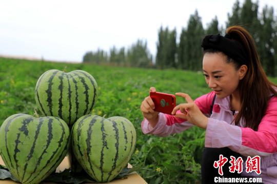 图片默认标题 图片默认标题_fororder_photo1-2