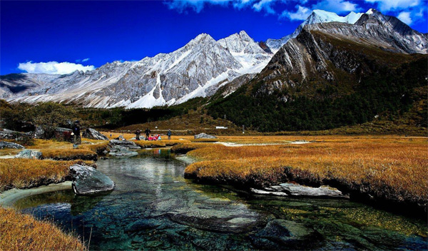 图片默认标题_fororder_3