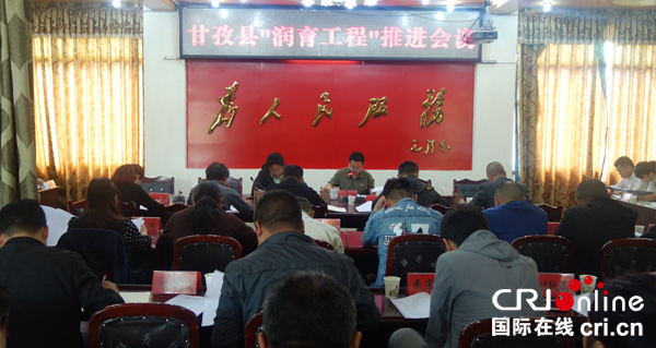 图片默认标题_fororder_推进会议现场