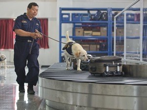 �i�����ѤU�j��ڸT�r�� �s�Z����Ĳ�r�p����a���r�r��