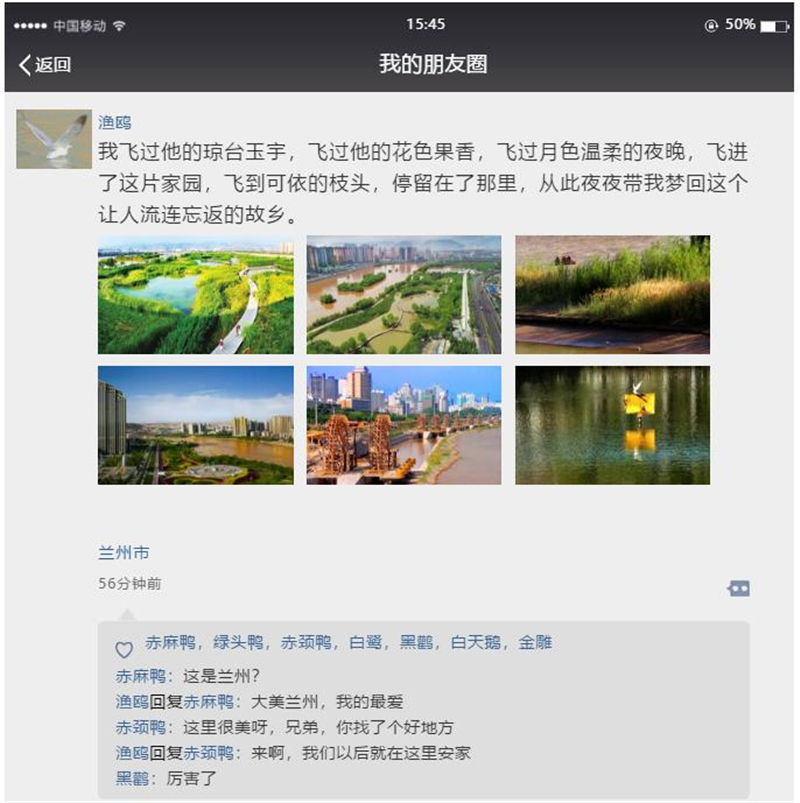 「兰州日报」【生态文明@湿地】候鸟与兰州相恋 展开黄河兰州段生