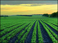 �Ϥ��q�{���D