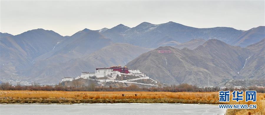 「新华网」拉鲁湿地冬韵