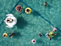 ���{�G�L�鰪�ŨɲM�D_fororder_CqgNOlsy6b2ASHxEAAAAAAAAAAA779.899x506