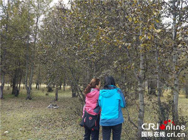 图片默认标题_fororder_工作人员研究如何治理杨絮2