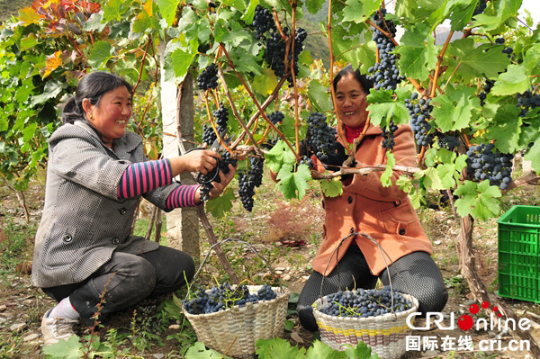 图片默认标题_fororder_九寨沟生产的无公害产品