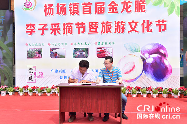 图片默认标题_fororder_3