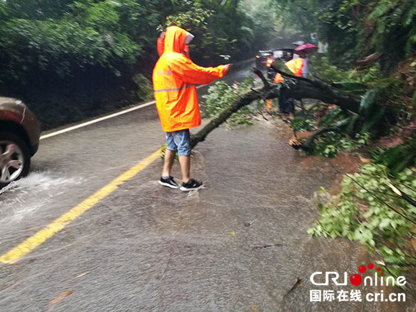 图片默认标题_fororder_1