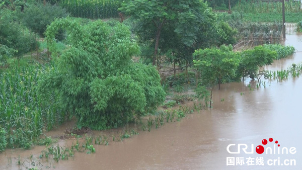 图片默认标题_fororder_图说：部分农作物被淹