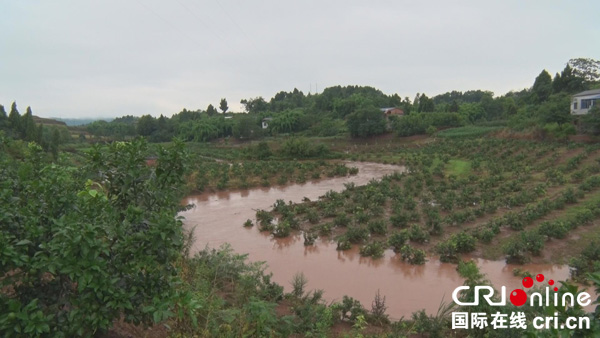 图片默认标题_fororder_图说：大雨造成部分农作物被淹