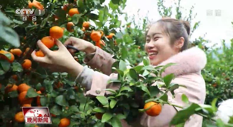 #央视网#接力扶贫事业，因公殉职的黄文秀有了继任者 她的心愿慢