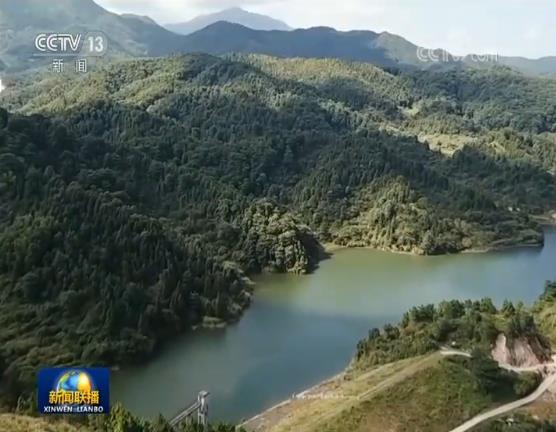 「央视网」我国国有林场改革任务全面完成