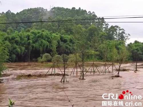 图片默认标题_fororder_暴雨后的全福镇夏沟湿地公园（市中区委宣传部-供图）