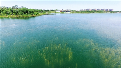 【中原名景-图片】郑州的威尼斯：龙湖与龙子湖