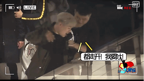 郑爽街头痛哭玩具送人 郑爽哭了是为胡彦斌？