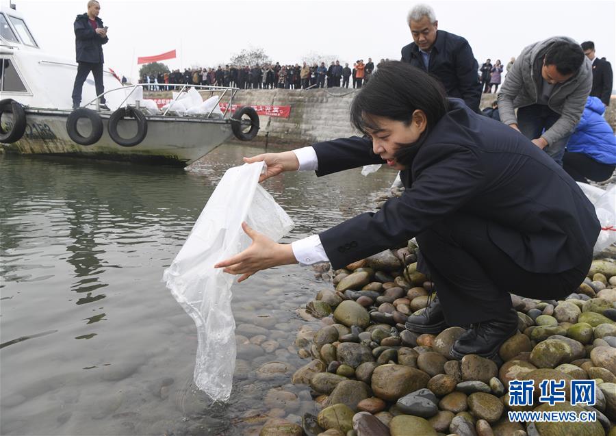 新华网：长江边上的禁渔宣传