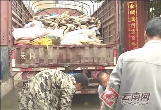 云南捣毁食品黑窝点:12吨问题肉被销毁 2人被刑拘
