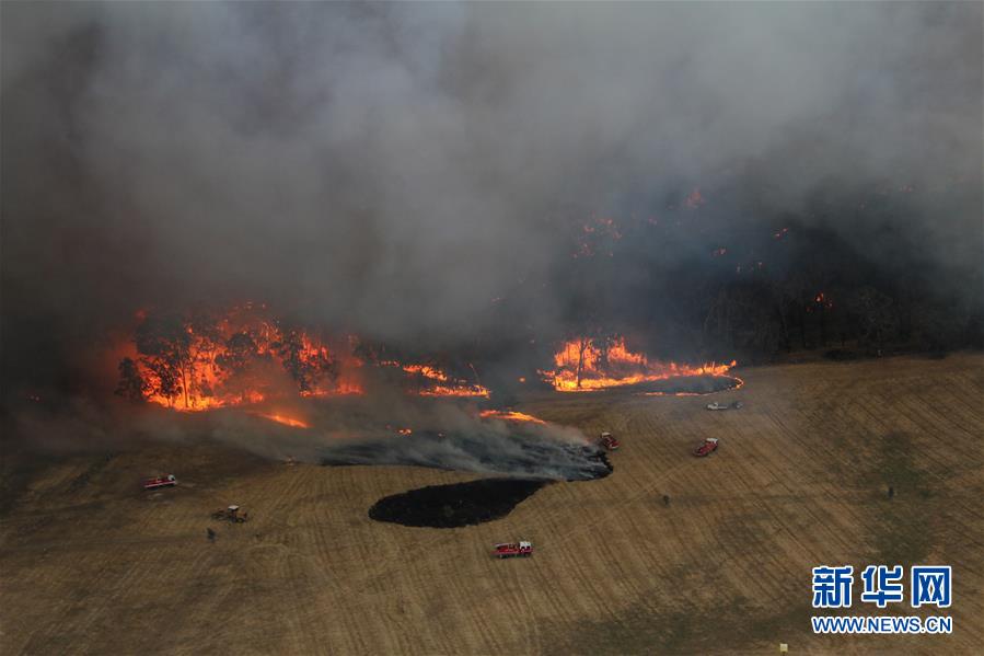 新华网：综述：澳大利亚林火肆虐 将设新机构救灾