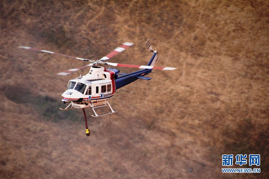 新华网：综述：澳大利亚林火肆虐 将设新机构救灾