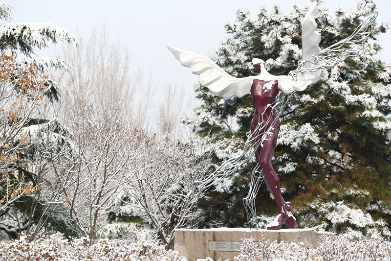 中國(guó)農(nóng)業(yè)大學(xué) 飛人戲雪（歐陽永志/攝）