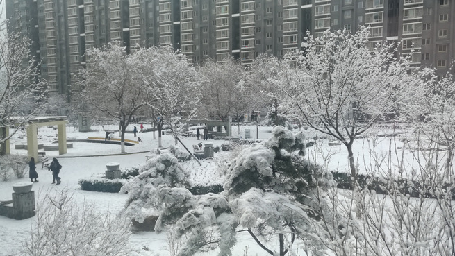 图片默认标题_fororder_823339020