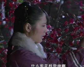 《甄嬛传》花中仙 最美不是沈眉庄最丑不是浣碧