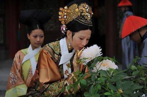 《甄嬛传》花中仙 最美不是沈眉庄最丑不是浣碧