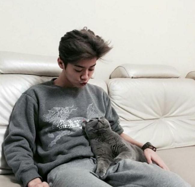 生不如猫，好想成为鹿晗身边那只猫的爪