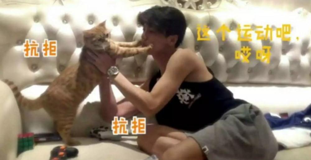 生不如猫，好想成为鹿晗身边那只猫的爪