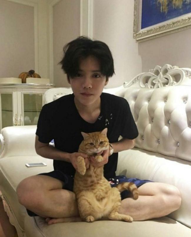生不如猫，好想成为鹿晗身边那只猫的爪