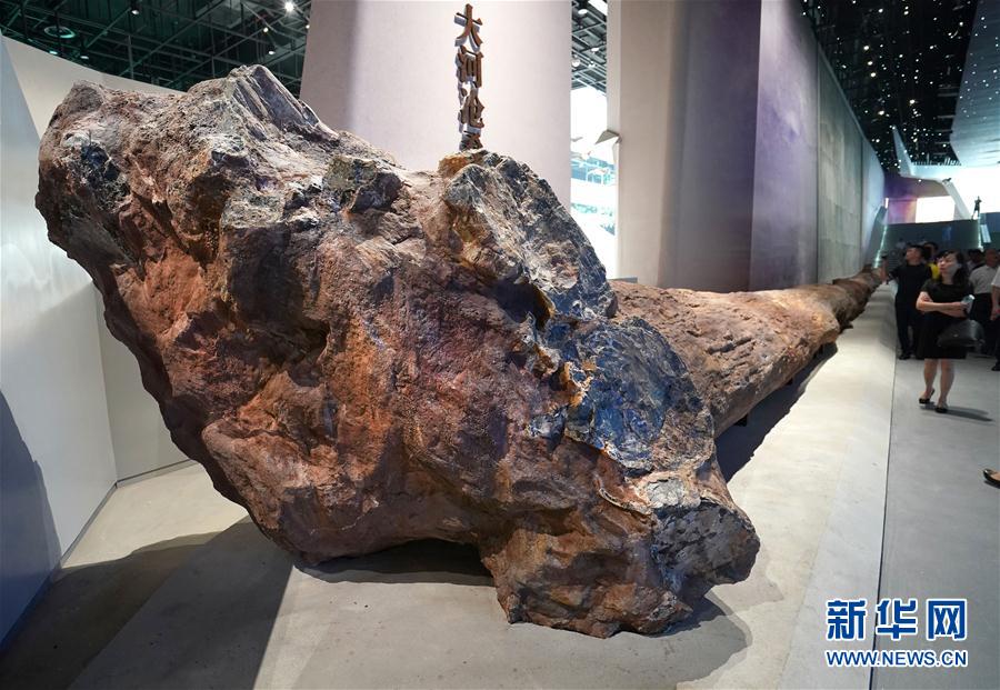 武汉自然博物馆·贝林大河生命馆建成试运行