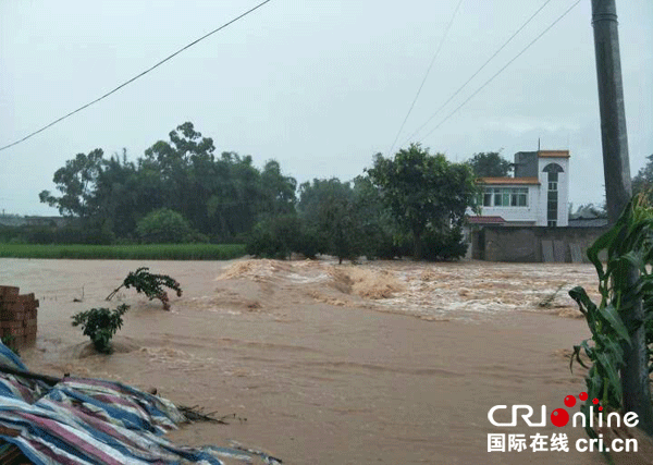 图片默认标题_fororder_1