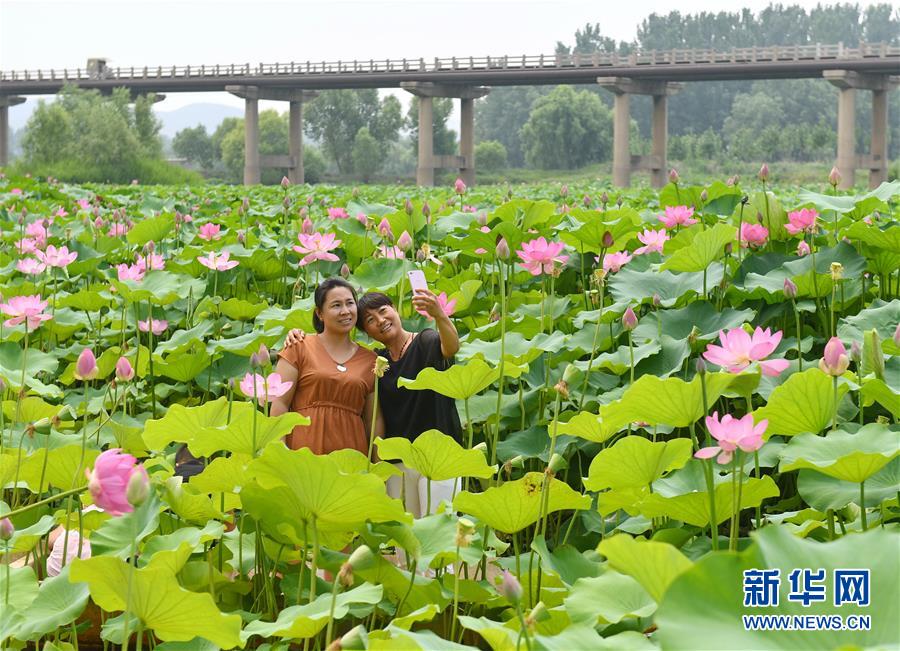 图片默认标题_fororder_129904909_15304419678591n