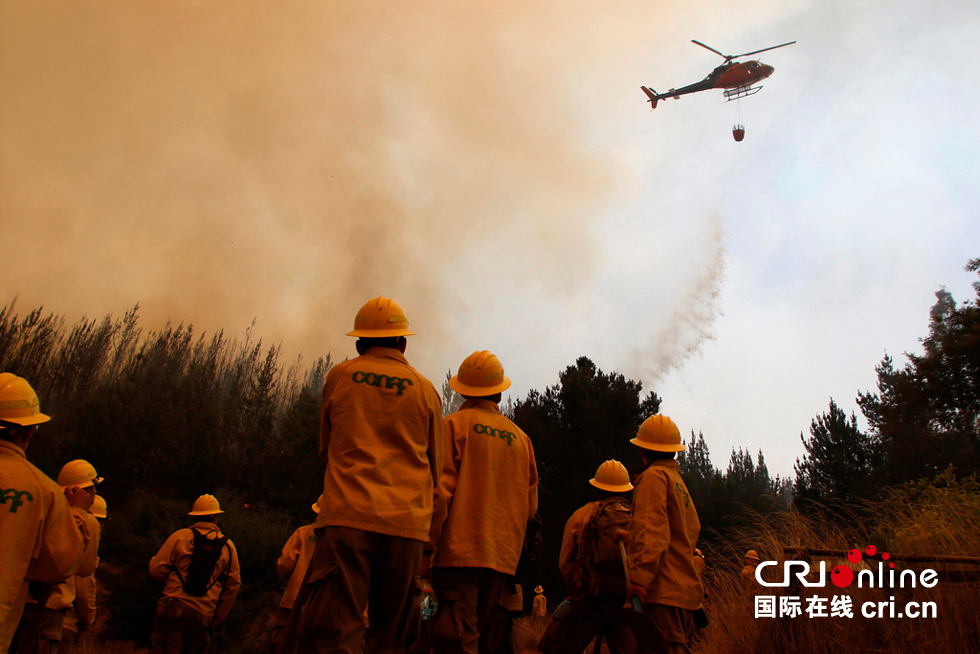 智利森林大火持续 消防人员全力扑救(组图)
