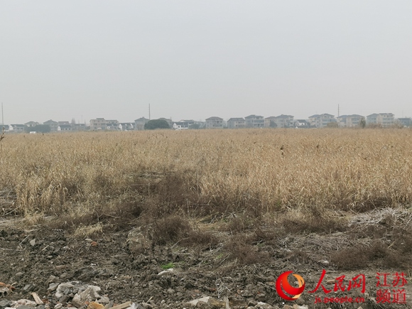 （焦点图）苏州吴江围湖造地上千亩